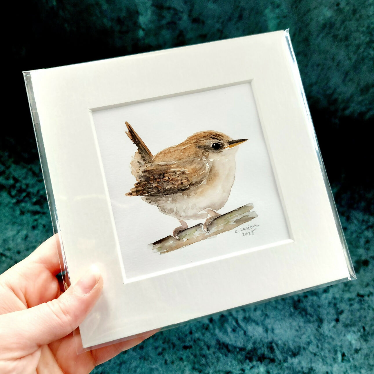 Original Watercolour_Wren (6)