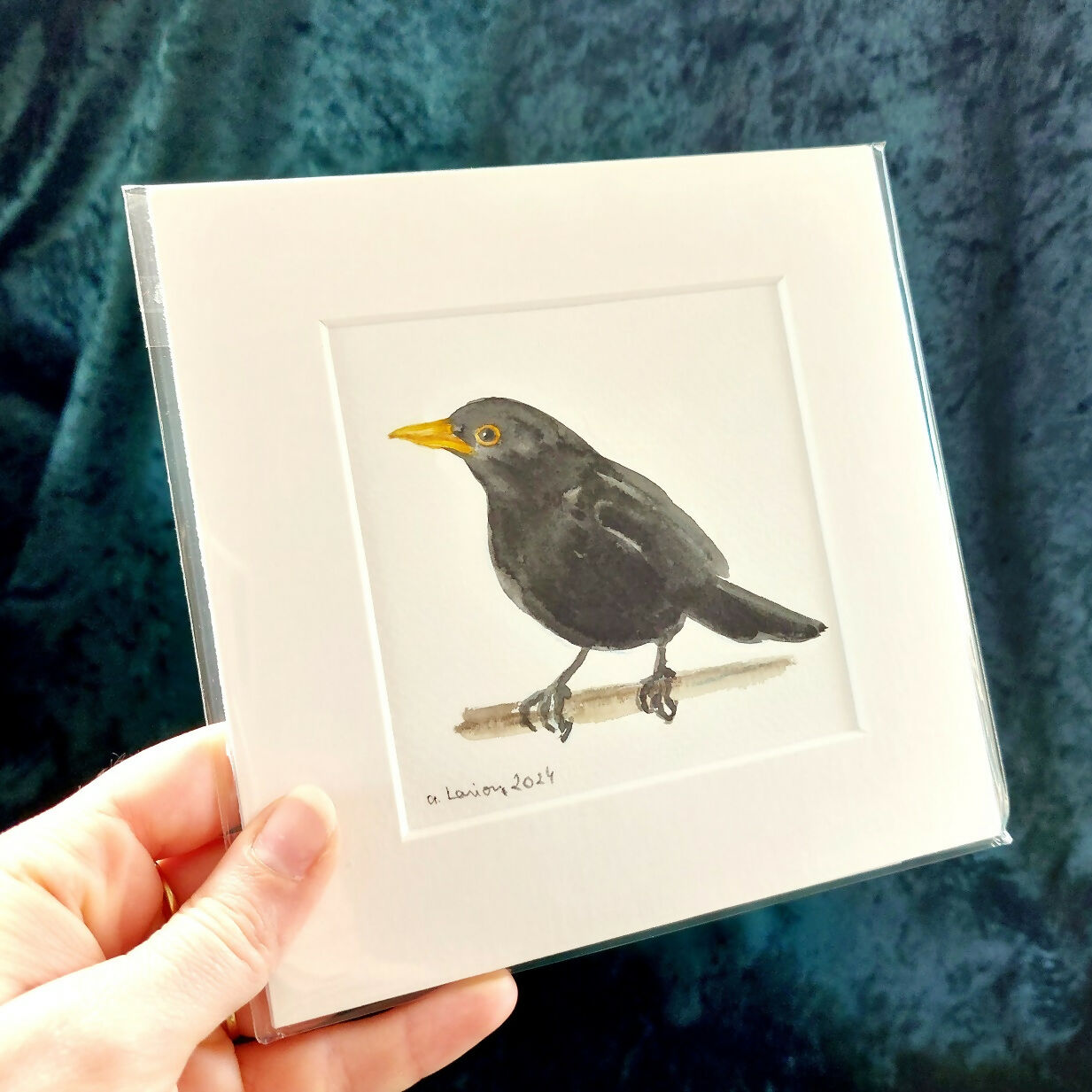 Original Watercolour_Blackbird (6)