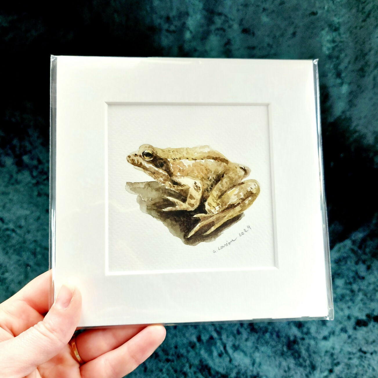 Original Watercolour_Toad (6)