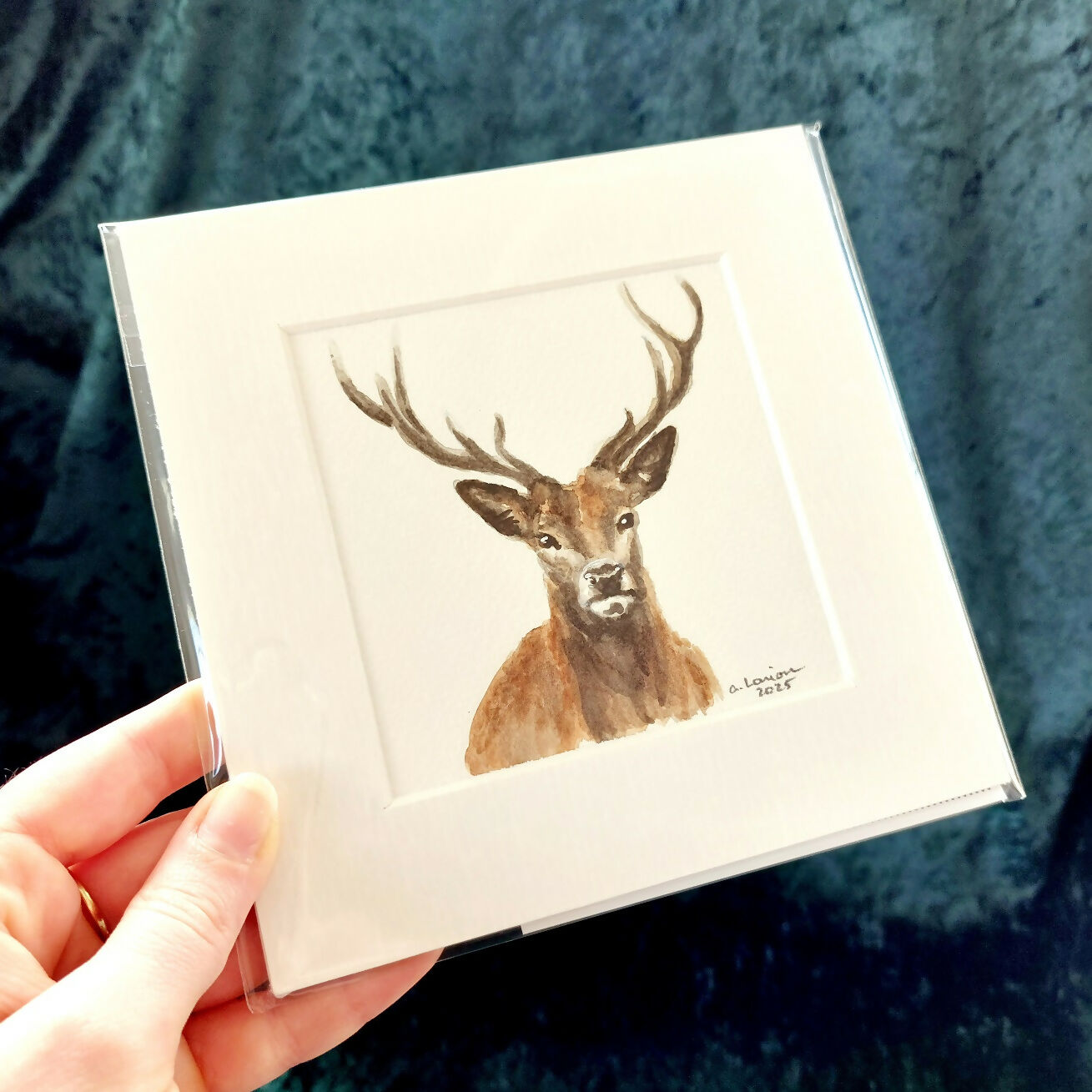 Original Watercolour_Stag (6)
