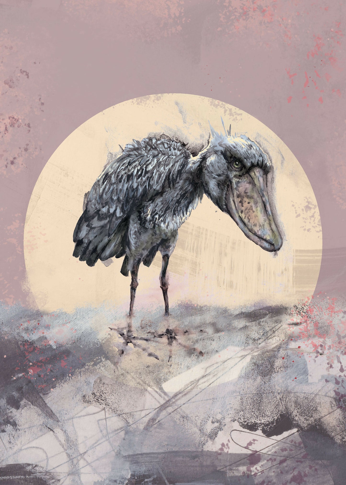 Shoebill - Unframed A4 Giclee Print