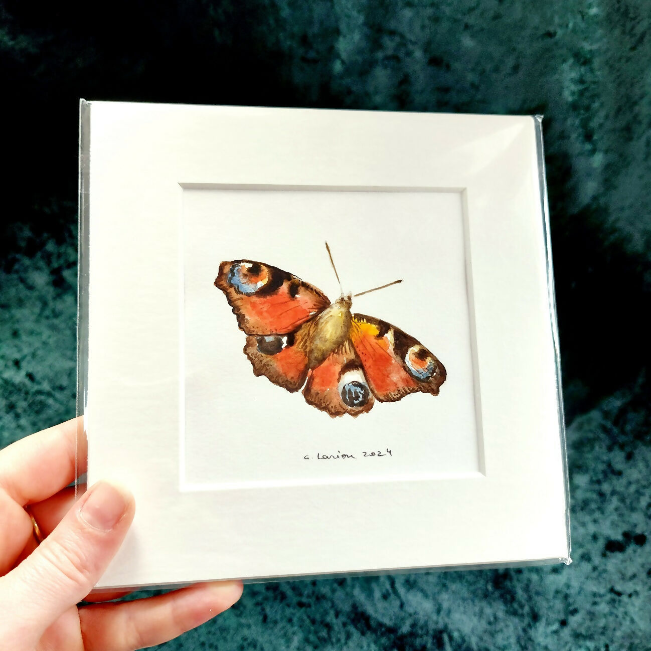 Original Watercolour_Peacock Butterfly (6)