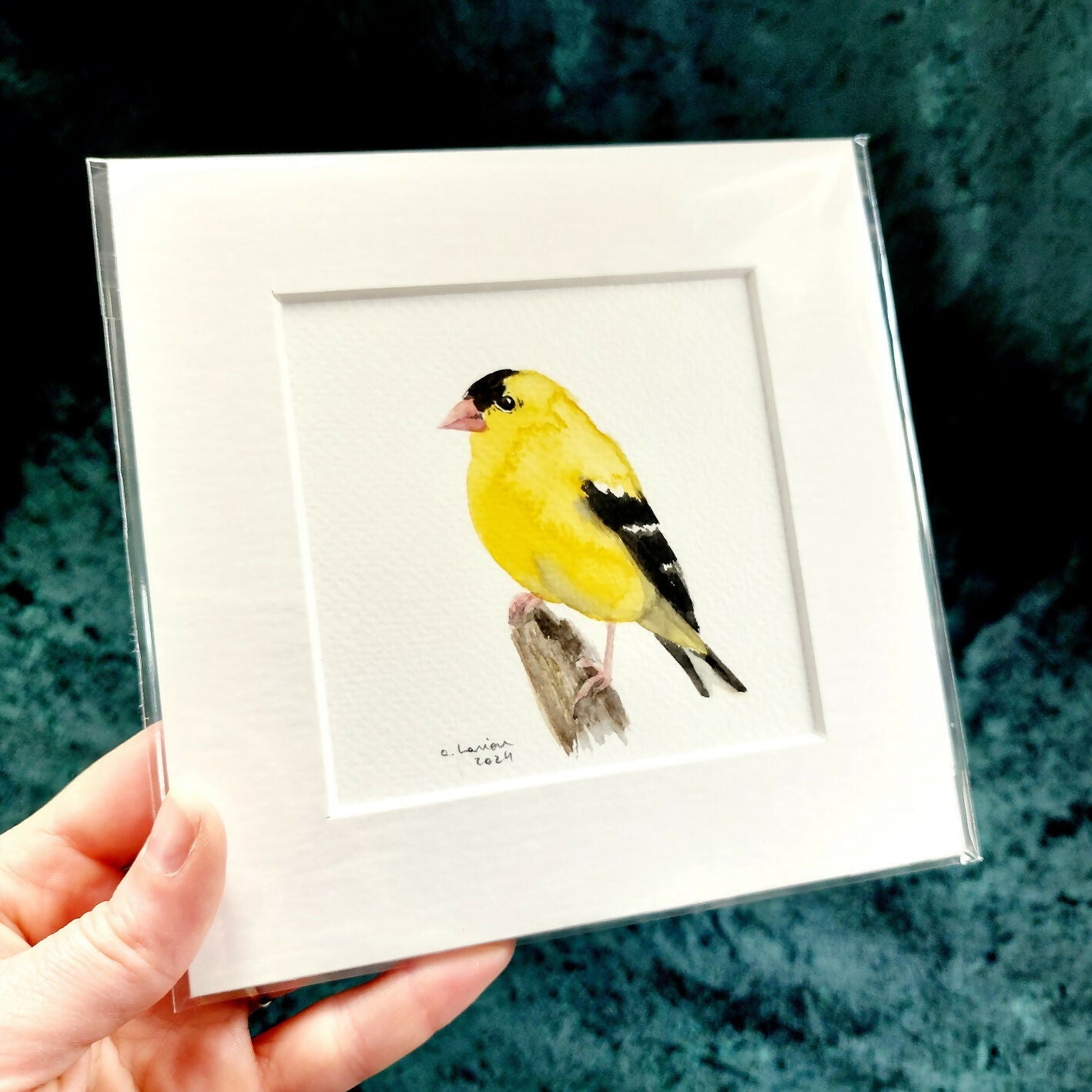 Original Watercolour_American Goldfinch (6)