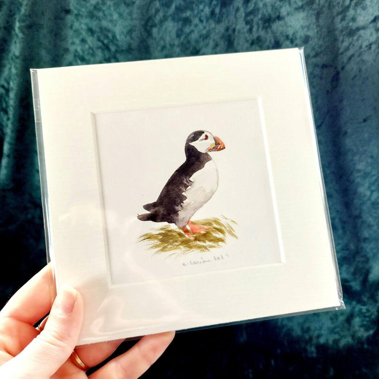 Original Watercolour_Puffin (6)
