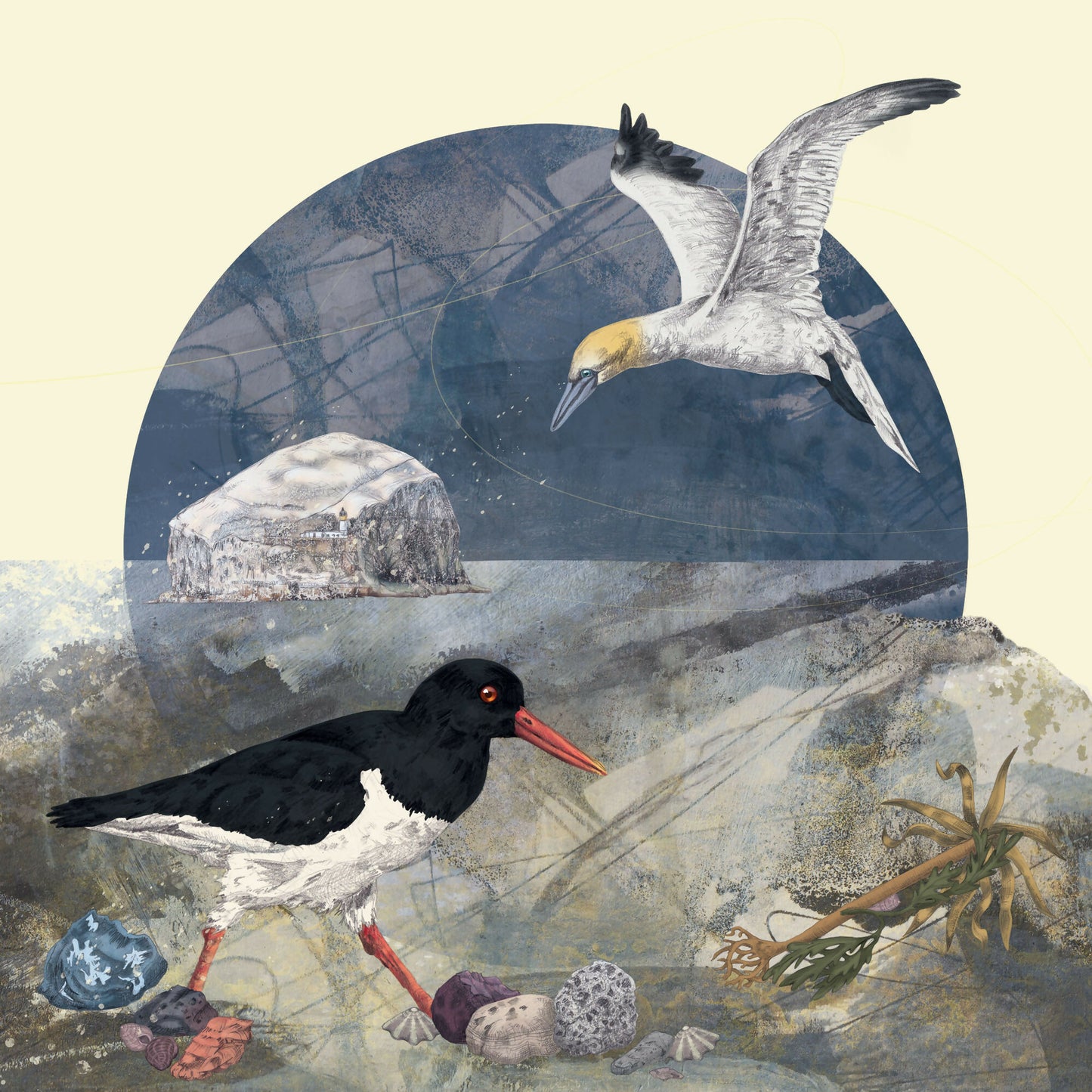 Sea & Shore - Mounted Giclee Print