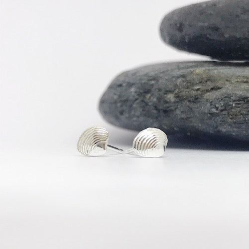 Silver Scottish Whelk Shell Earrings