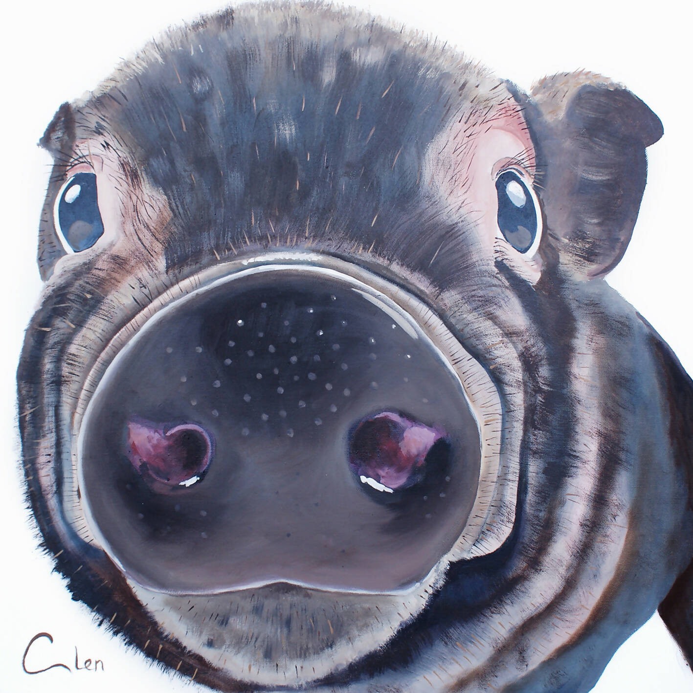 This little piggy had none.