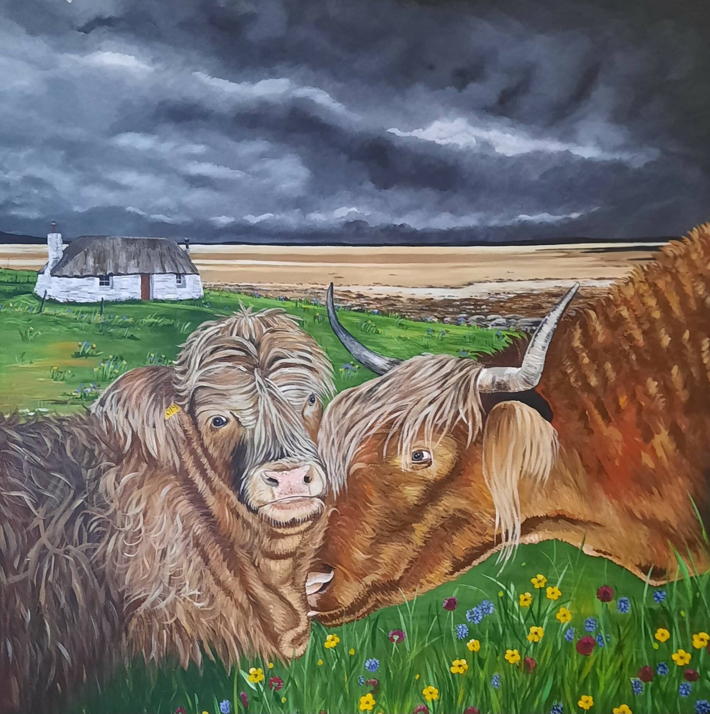 Mother & Calf Highland Cows