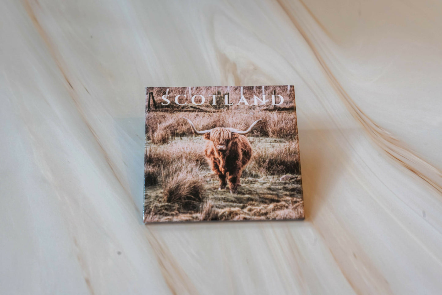 Highland Coo, Scotland Photo Fridge Magnet | Scottish Photography Souvenir