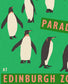 Edinburgh Zoo Penguins Print