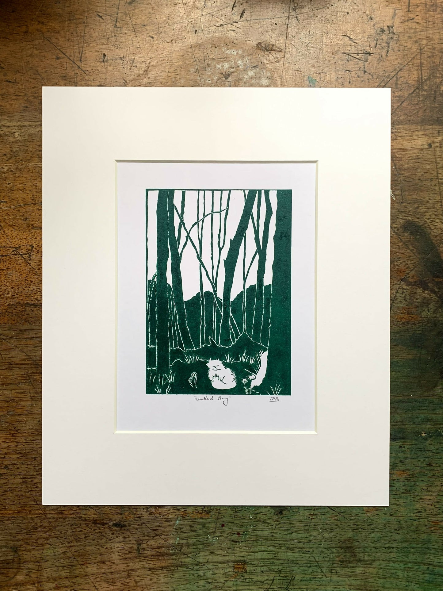 Woodland Bug