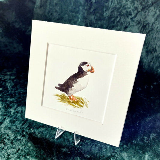 Original Watercolour_Puffin (2)