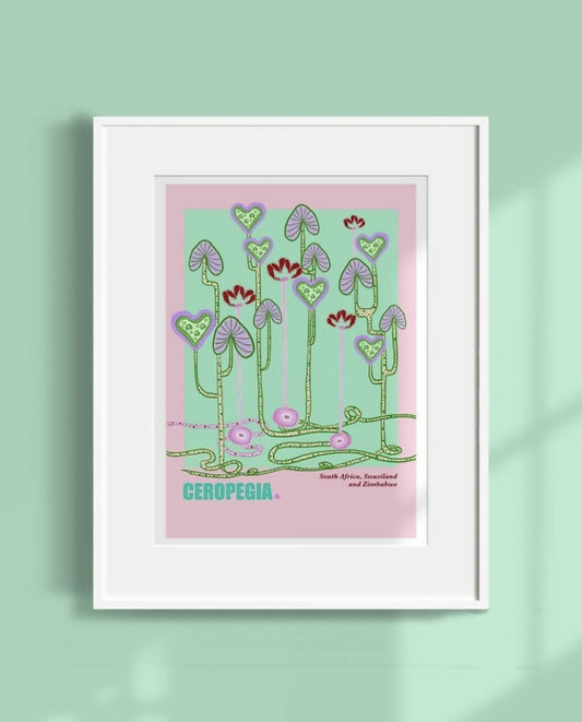 Ceropegia Art Print - Unframed