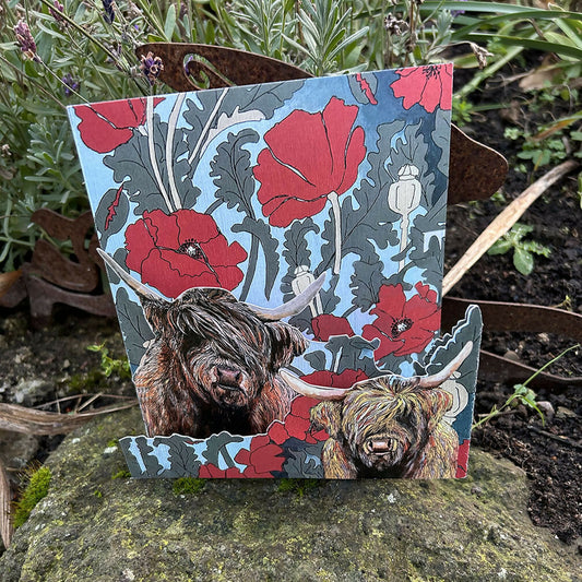 highland cow 3D card
