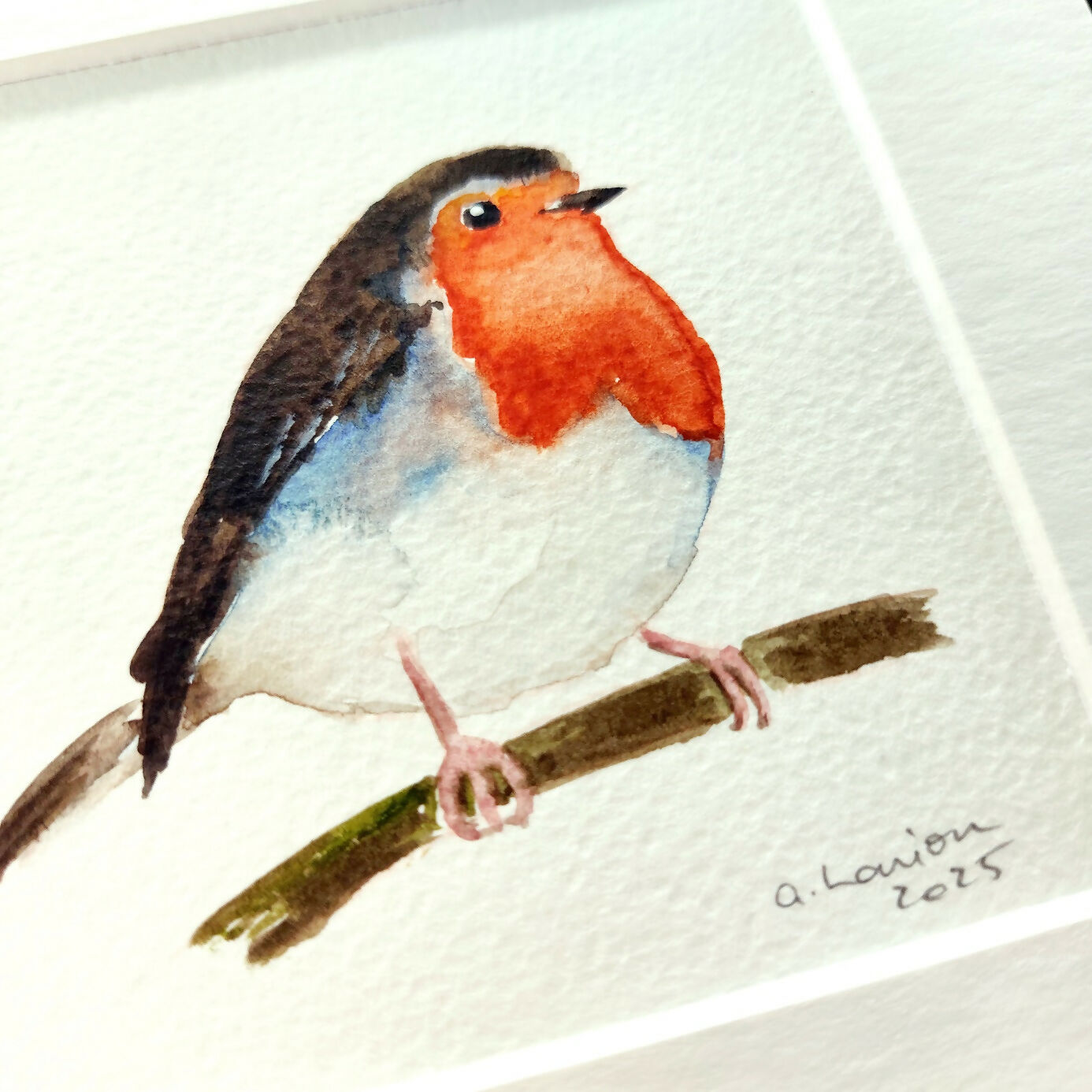 Robin In Watercolour Robin - Original Watercolour Painting – Scottish Design Exchange