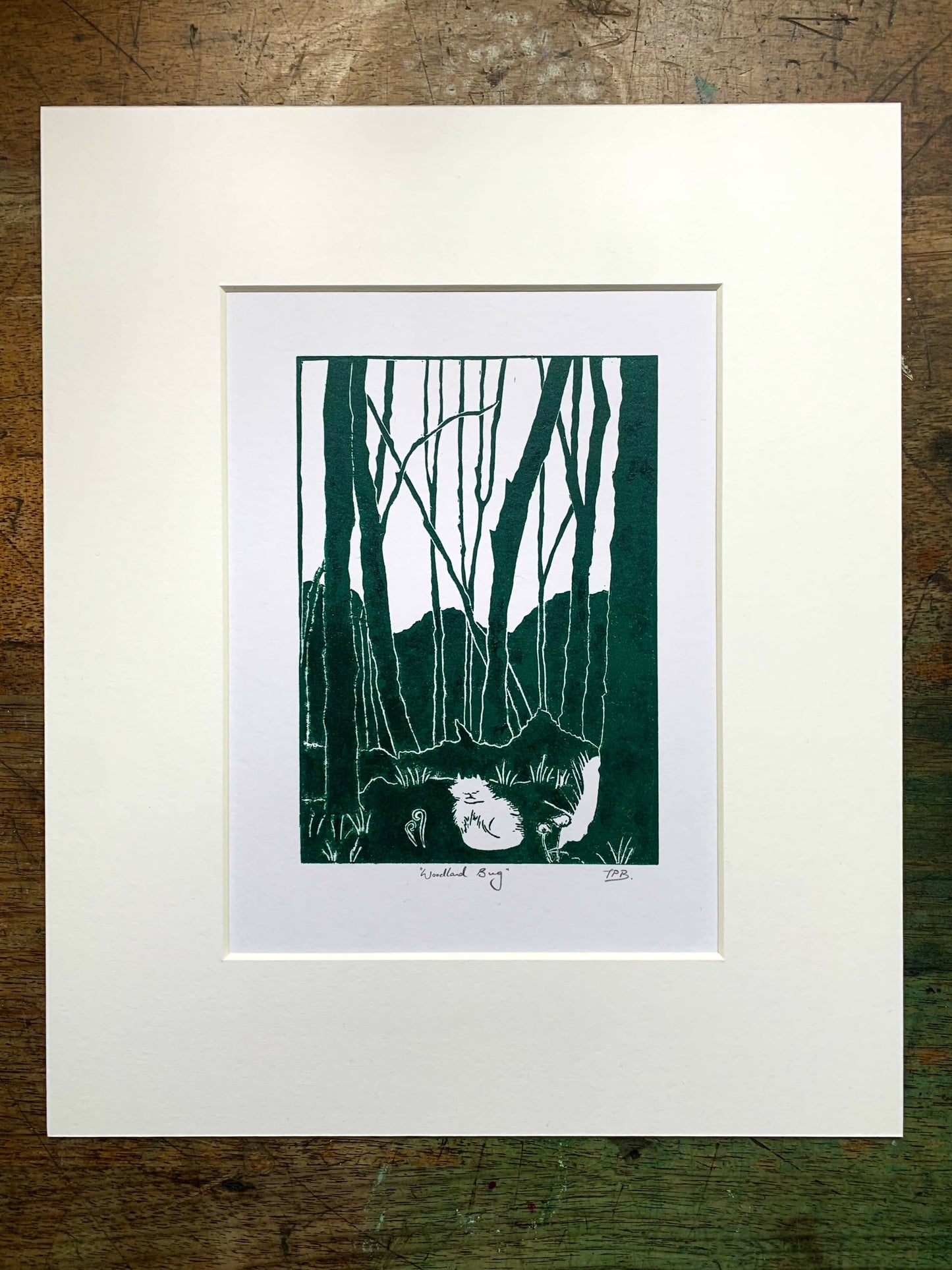 Woodland Bug