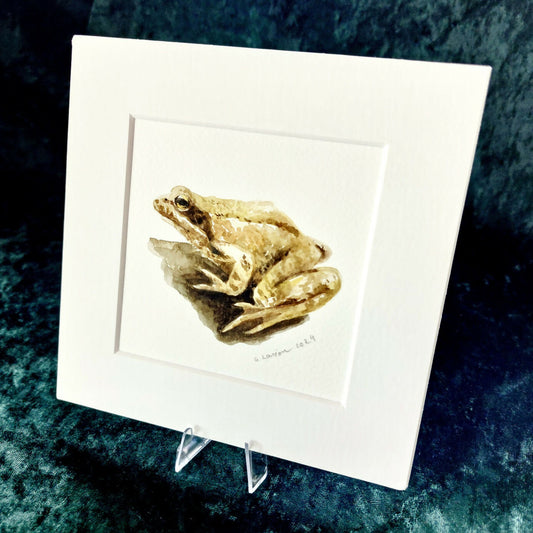 Original Watercolour_Toad (2)