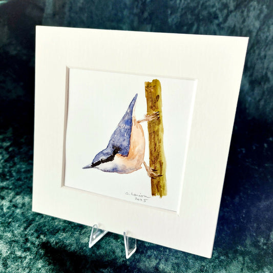 Original Watercolour_Nuthatch (2)