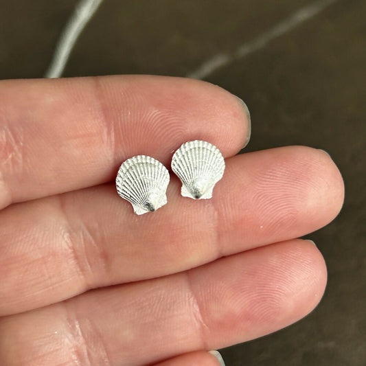 Silver Scallop Shell Stud Earrings : Isle of Colonsay