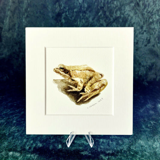 Original Watercolour_Toad (1)