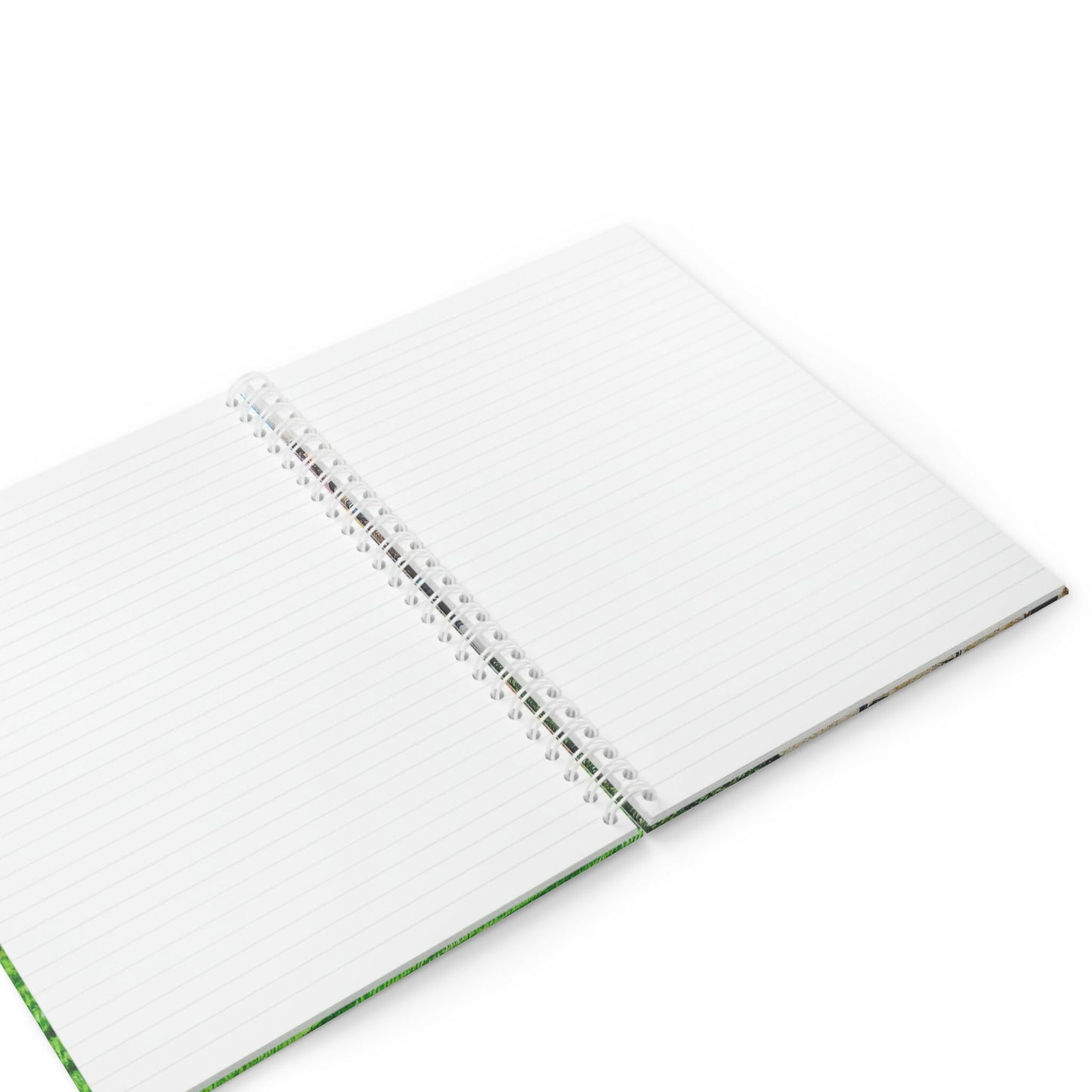 f1b8c037-3d71-49d1-b3d1-3fcbea6d3af4