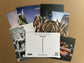 Set of 8 Glasgow Postcards – A6