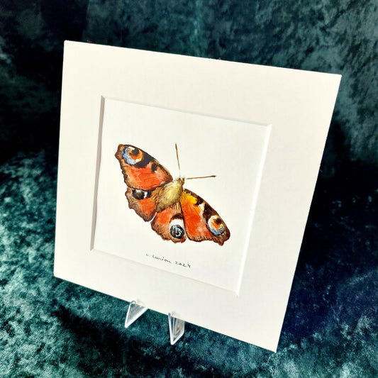 Original Watercolour_Peacock Butterfly (2)