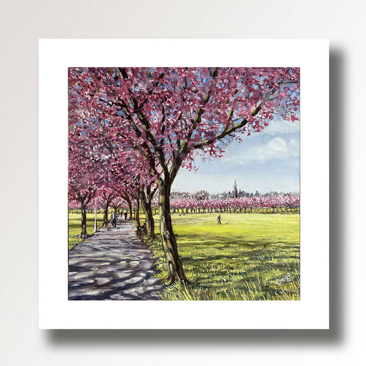 The Meadows, Edinburgh, Cherry Blossom, from original painting by Scottish Artist Craig Seaton Bell or Craigo