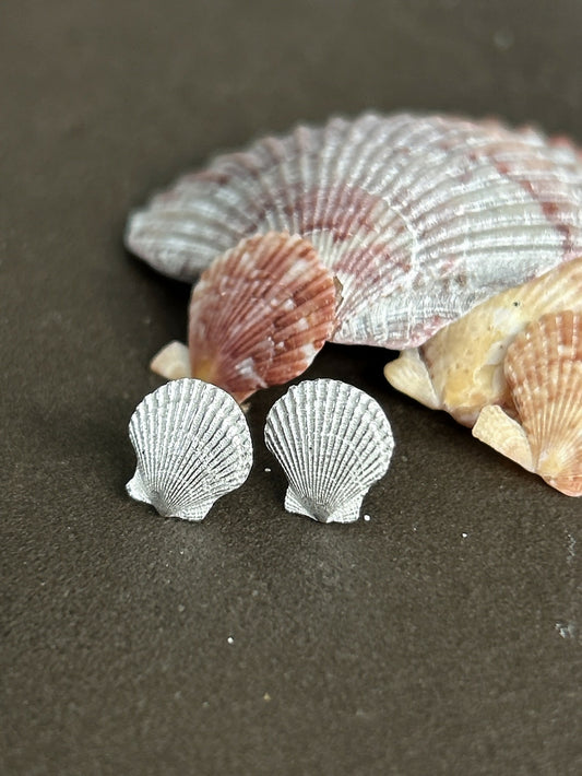 Silver Scallop Shell Stud Earrings : Isle of Colonsay