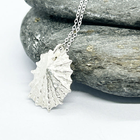 Silver Isle of Arran Limpet Shell Necklace