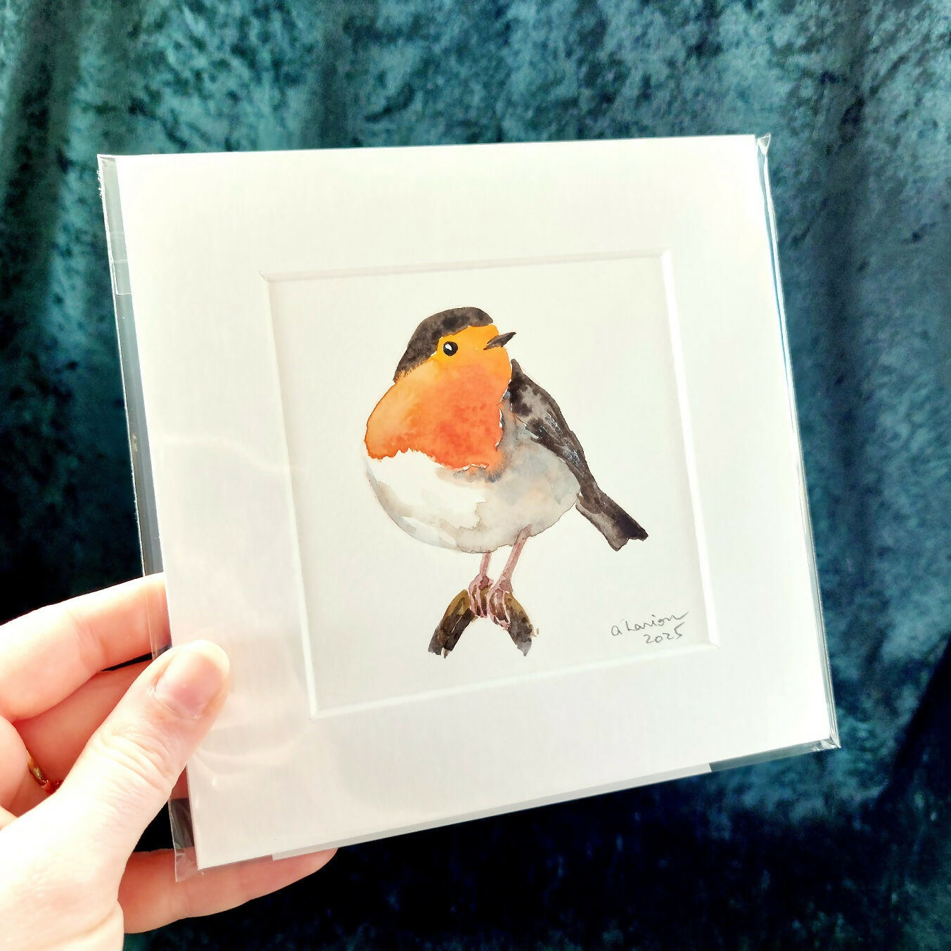 Robin In Watercolour Robin - Original Watercolour Painting – Scottish Design Exchange