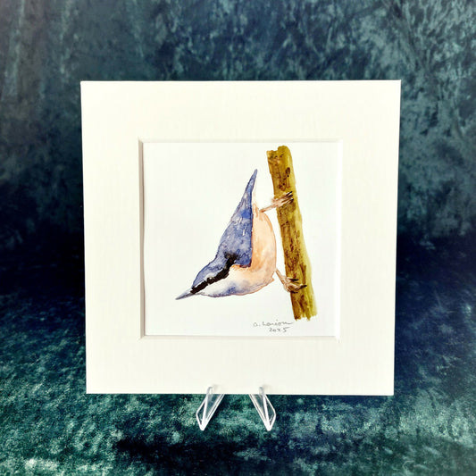 Original Watercolour_Nuthatch (1)