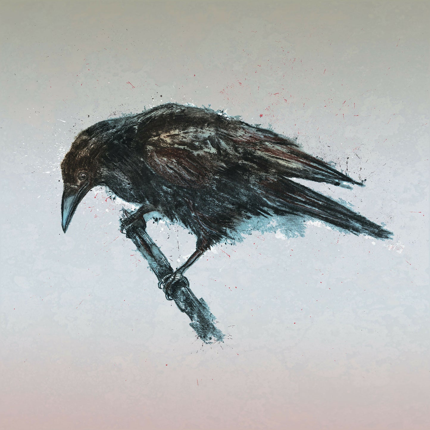 Crow - Mounted Giclee Print