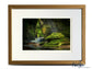 The Devil's Pulpit Scotland - A4 (40x30cm) Framed/Unframed Fine Art Photo Print