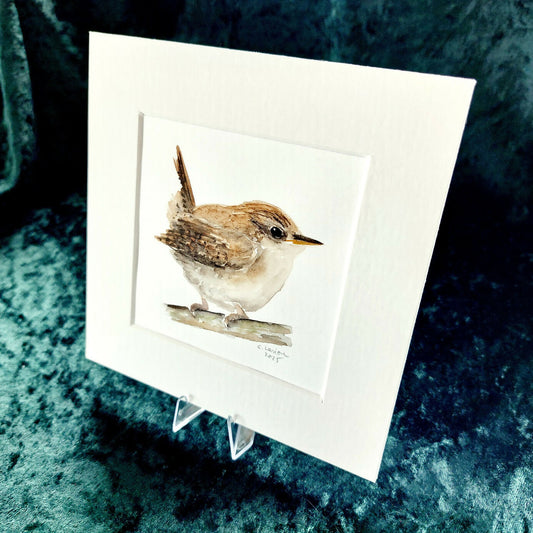 Original Watercolour_Wren (2)