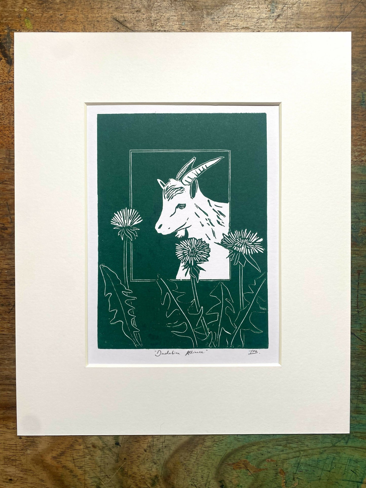 Dandelion Alliance
