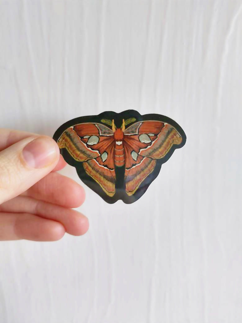 Atlas Moth Vinyl Sticker