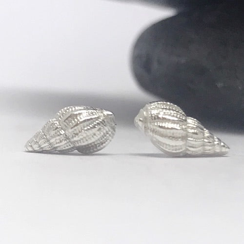Silver Scottish Whelk Shell Earrings