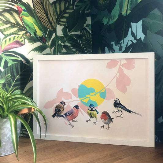 Bird Bonanza A3 Prints