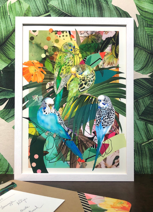 Bird Bonanza A3 Prints