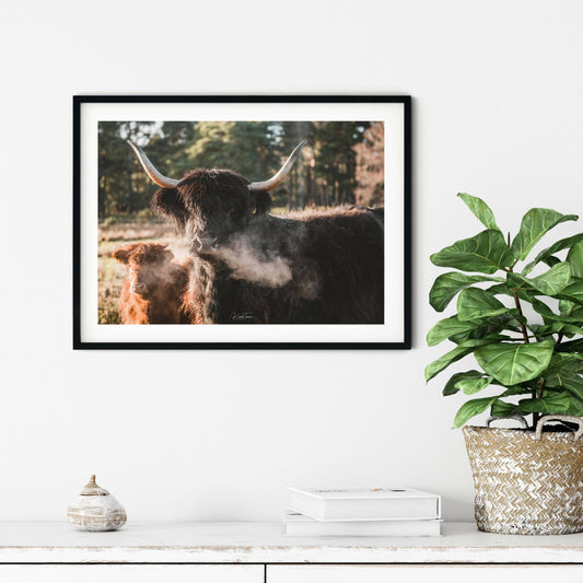 Protective mother coo photography print
