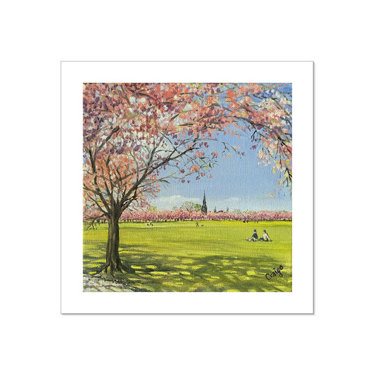 Cherry Blossom Meadows - Giclee Fine Art Print 30x30cm