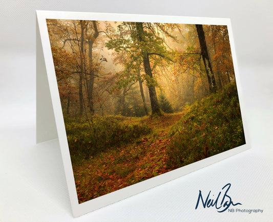 Trossachs Loch Ard Forest in Autumn - Scotland Greeting Card - Blank Inside
