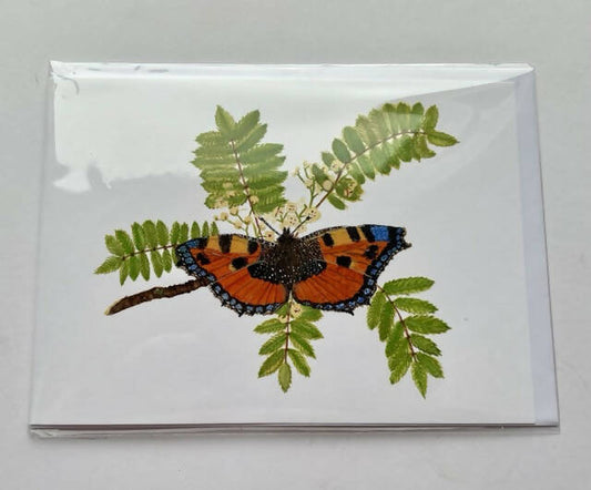 Greeting card butterfly