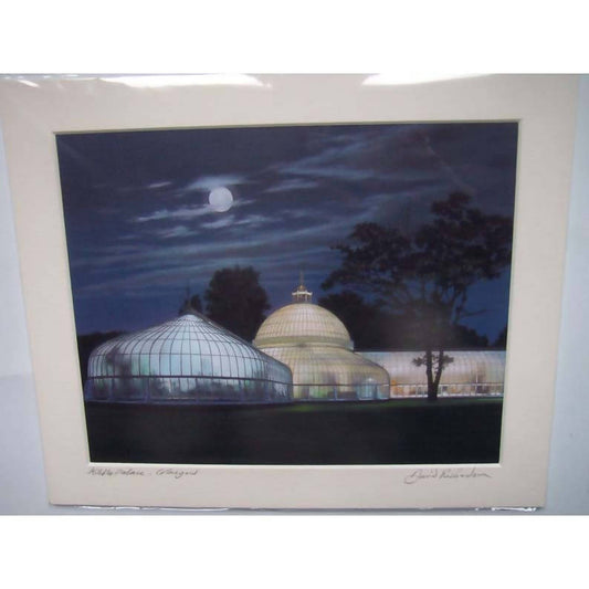 Kibble Palace, Glasgow. Art Print.