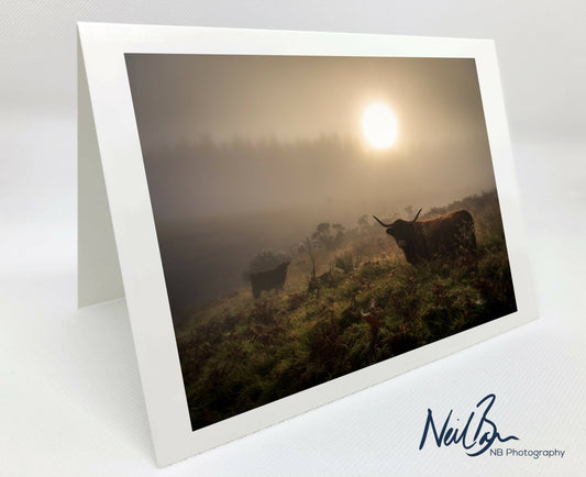 Highland Cow & Calf, Gleniffer Braes - Scotland Greeting Card - Blank Inside