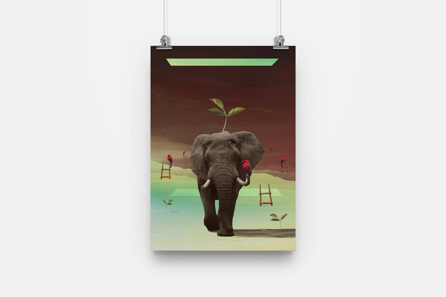 Elephant: Surrealistic Animlas
