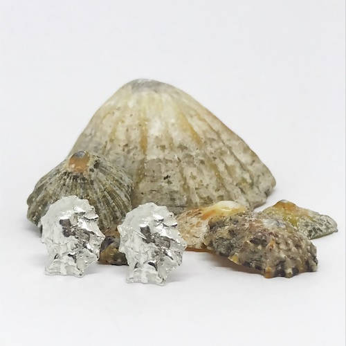 Silver Scottish Limpet Shell Earrings