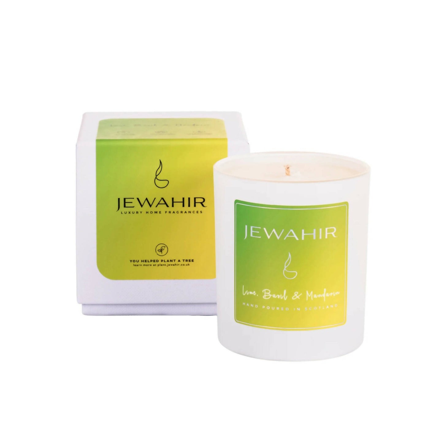 Lime, Basil & Mandarin Scented Coconut/Soy Wax Candle