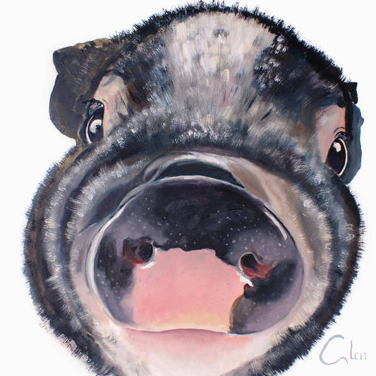 This little piggy went to market